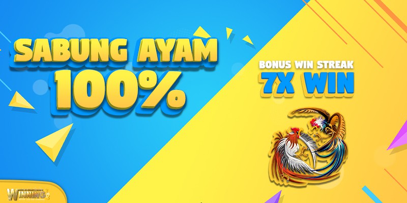 SABUNG-AYAM-7X-WIN.jpg